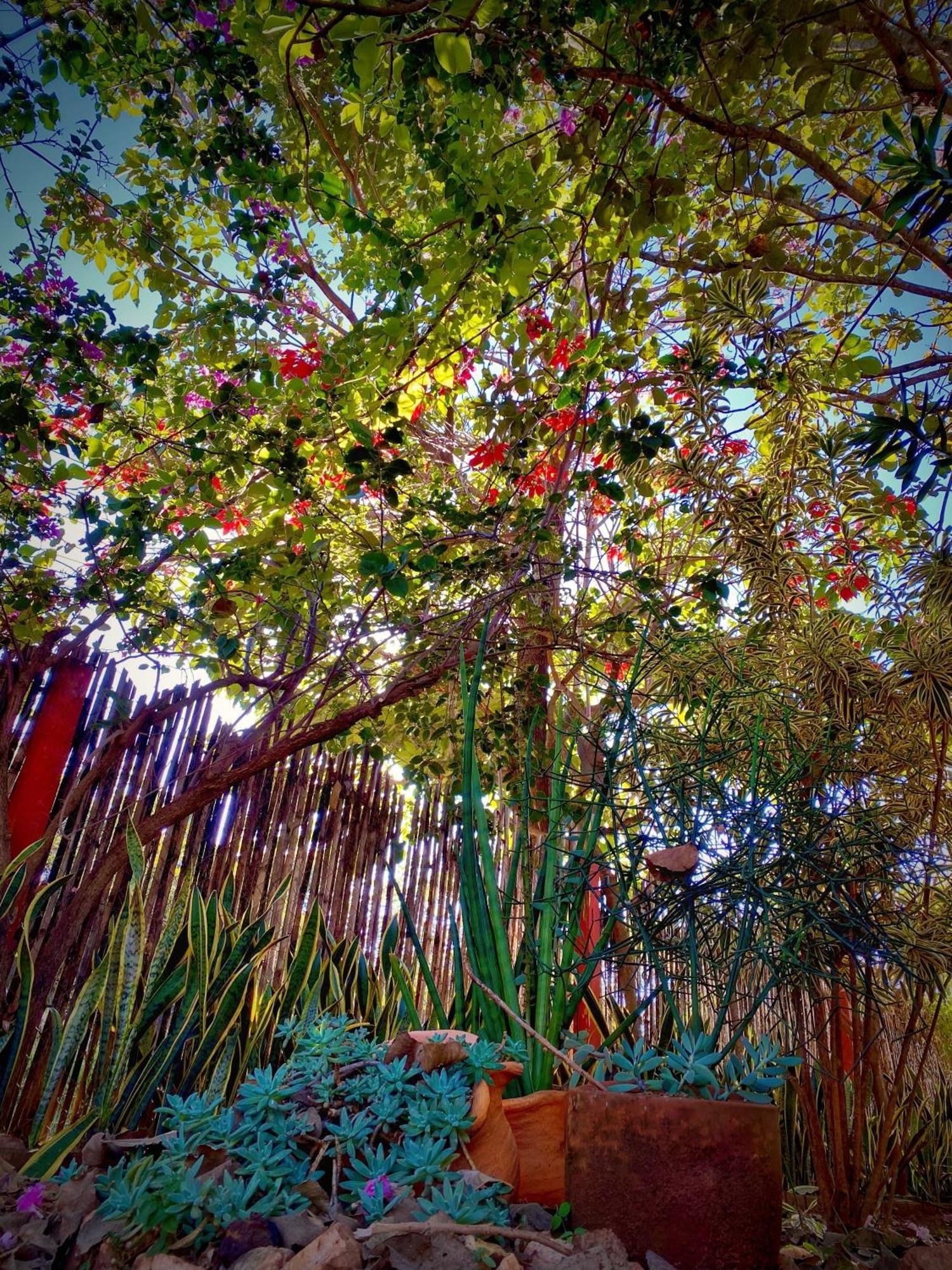 Pousada Jardim De Minas Serra do Cipo National Park Exteriör bild